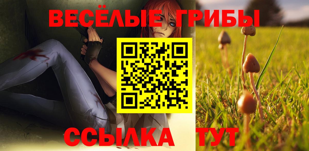 Галлюциногенные грибы мухоморы  Галлюциногенные грибы Psilocybe  Кисловодск  Вход с VPN 