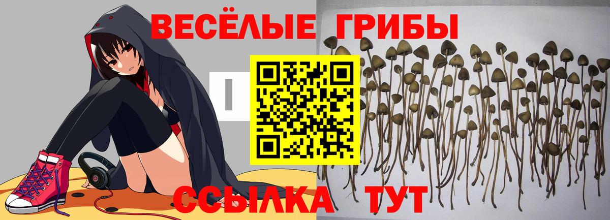 Псилоцибиновые грибы MAGIC MUSHROOMS Кисловодск